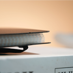 Svengali Album (carte postale)