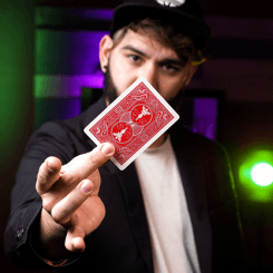 Switch-A-Two (Parlour)