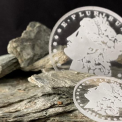 Clear Coin Jumbo Morgan