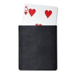 Etui plastique &agrave; cartes (simple)