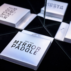 Mirror Paddle