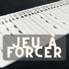 Jeu &agrave; Forcer Bicycle Bleu