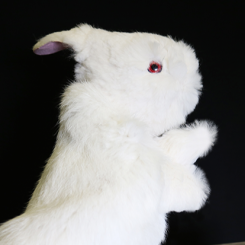 Lapin Marionette Magic Masters