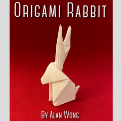 Origami rabbit 