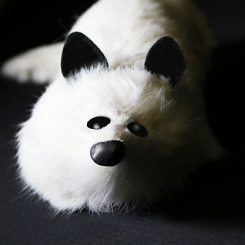 Raccoon White Fox