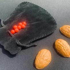 Sreet Shells Professionnal