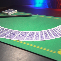 Tapis PIP Standard Moyen (vert)