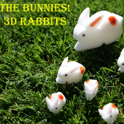 The Bunnies! 3D Rabbits